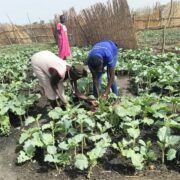 Economic Recovery & Women Empowerment
