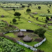 Food Security & Livelihood